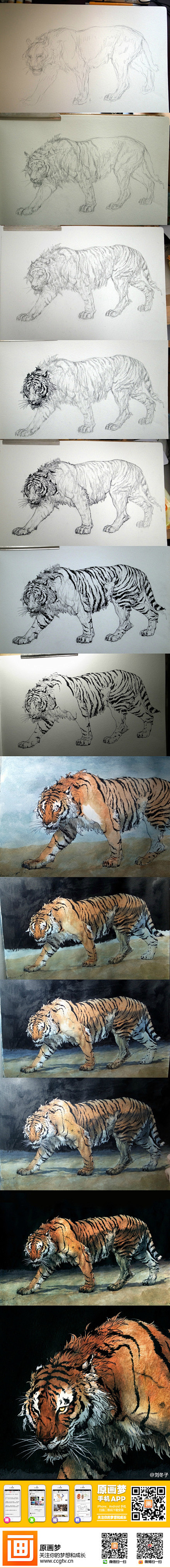 【作画教程】纸媒绘画，老虎的作画过程！超...