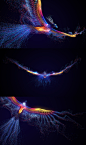 Rise of Phoenix, Particles and VFX on Behance