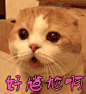好尴尬