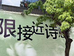 头发即将掉光光采集到围挡