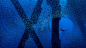 一只勃兰特鸬鹚在洛杉矶海岸石油钻塔下的一群太平洋鲭鱼中觅食，加利福尼亚 (© Alex Mustard/Minden Pictures)
微软 Bing 搜索 - 国内版