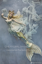 #GIRLISM推荐# 美国摄影师Cheryl Walsh水下摄影作品太美啦…
HP：cherylwalshfineart.com ​​​​