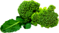 Green Broccoli PNG image