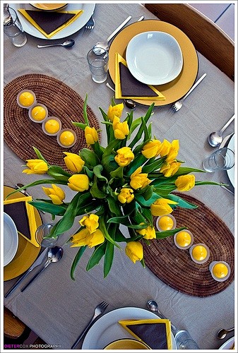 Springtime tulips | ...