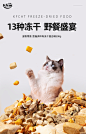 宽福猫冻干成猫混合冻干桶猫咪零食大礼包增肥发腮冻干小零食500g-tmall.com天猫