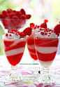 Raspberry Panna Cotta by theresahelmer