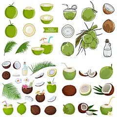 椰子图标 手绘彩绘逼真海南热带水果青椰椰汁 AI格式矢量设计素材-淘宝网