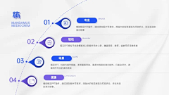 CRAZY毛线采集到PPT设计