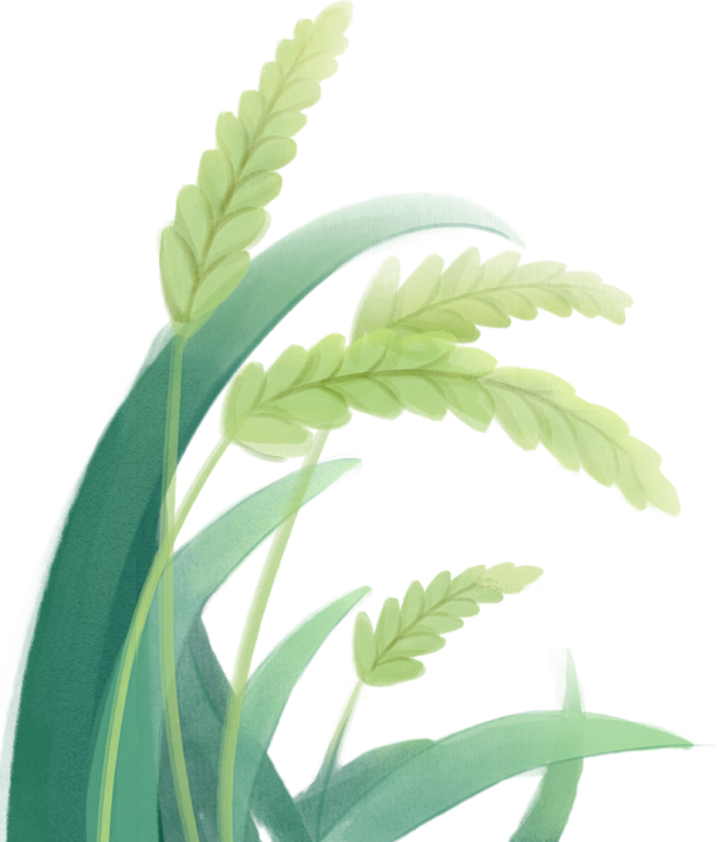 绿色黄色植物插画唯美中国风手绘水墨小麦水...