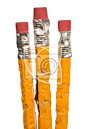 Group Of Chewed Pencils XXXL Isolated On White #文具 / 办公用品#