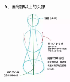 命运星采集到人体分析