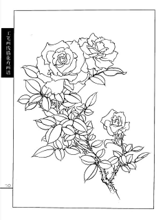 P93RPbKN采集到画