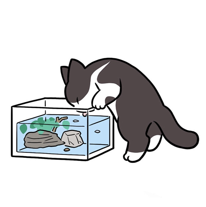 【@喵小玉】手绘猫