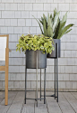 PLANT STAND - Dundee Floor Planters  | Crate and Barrel: