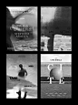 黑白之美：海报设计的简约排版