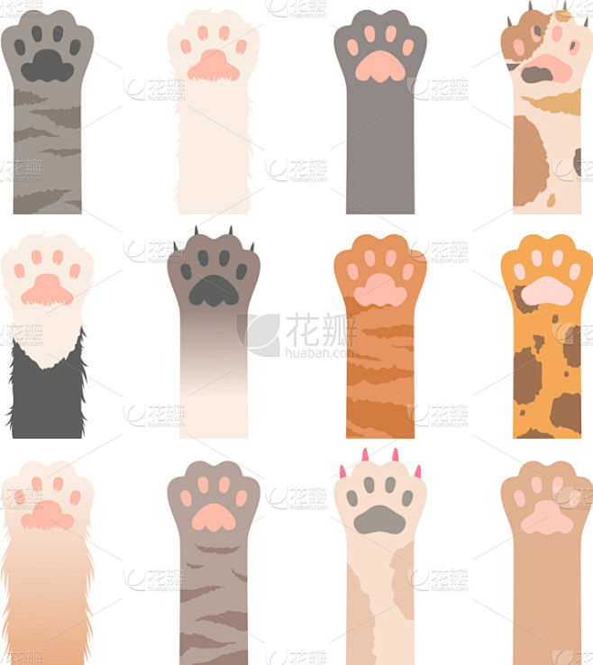 可爱的,动物,爪,猫,爪子,动物手,野生猫科动物,纯种犬,多样,野生动物