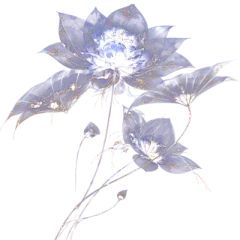 【米图网-52mitu.com】荷花 莲花 中式 元素 光晕 梦幻荷花
