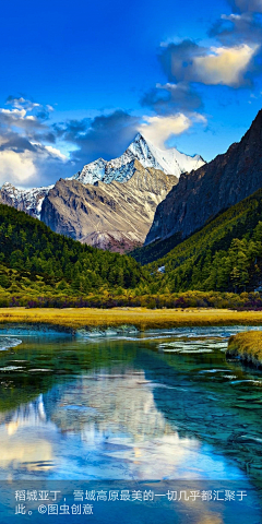 癫狂的蚊子采集到美图/摄影