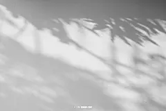 真实光影素材 光影素材 PNG  窗户投影 影子 场景化 光影场景 自然阳光 阴影 逼真海报 真实海报场景 免抠 png  @_4354517077