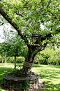 Priory d’Orsan Garden Tour Garden Art