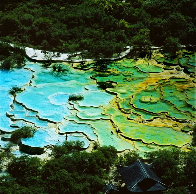 黄龙 图片_黄龙 H图片素材-花瓣网