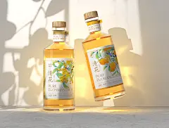 酒包装设计 插画包装 中国风   果酒包装设计 包装设计 packaging design 插画 手绘 果酒 品牌 包装 设计 水果酒