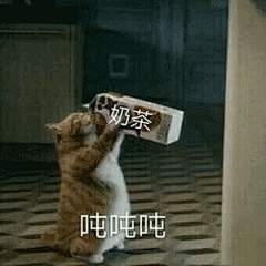 【图片】可爱表情包哈哈哈_表情包吧_百度贴吧