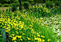 30fed950e01502b96b604ef2df58c390020767a82421e-AT24tF_fw658webp
