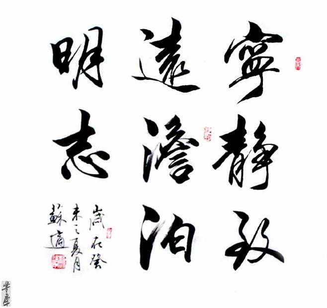 苏适书法作品