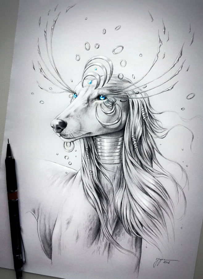 插画。插画师：Jonas Jödicke...
