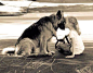 So sweet