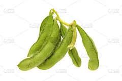 白色背景上的新鲜小黄豆