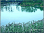 走近湿地——枣庄滕州市红荷湿地, 陶哲旅游攻略