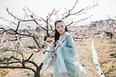 色彩無采集到写真集