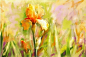 Alberto Guillen的水彩花朵
