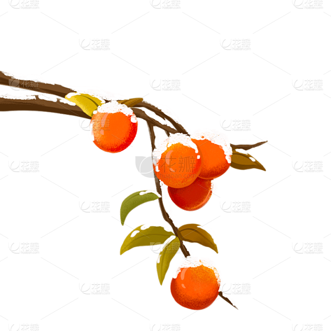 手绘-冬天季节元素贴纸-柿子树