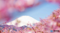壁画 壁纸 头像 世界风景 旅游景色 背景图 #头像# #背景图# #小清新# #治愈系#