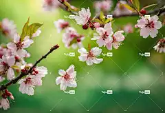 Ai产生的 花壁纸 桃花 花 开花 桃 美丽的花朵 自然 树