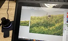 potgぴおてぐ-插画师：“当我开始明白画画的意义，我成为了自己。”整体上是水彩+二分法，略微粗糙的笔刷和画面质感恰好给人一种岁月静好的感觉，用大量噪点运用像胶片一样有一种朦胧地故事感，而二分法强烈地光影和动态设计（特别是头发）以及自然景象又使得画面有一种生命的活力。 (5)