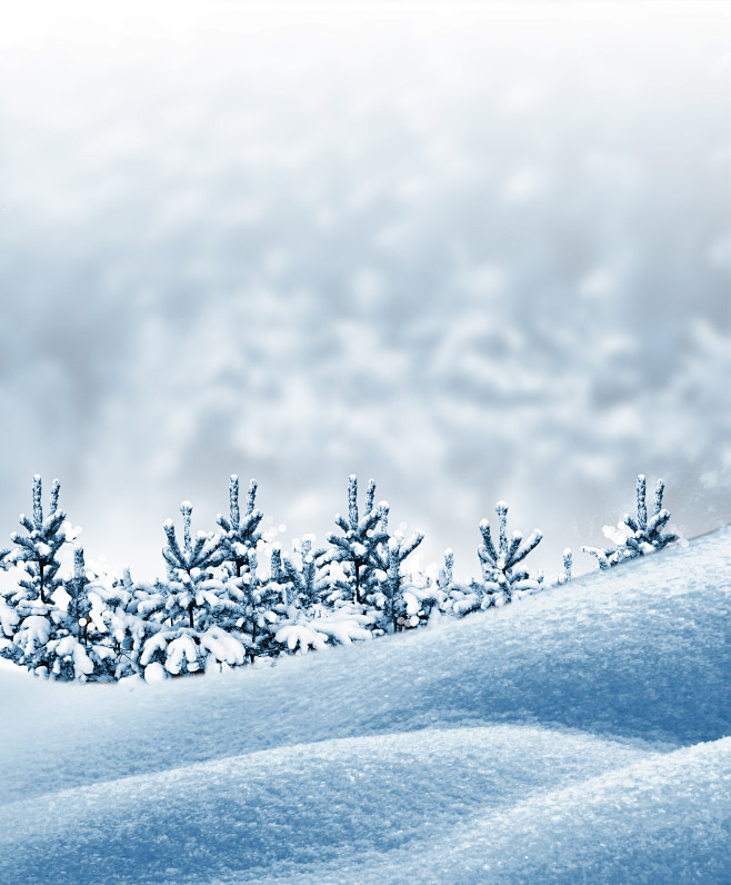 雪景 背景 雪花 冰雪