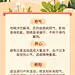 三九养生要做到三暖知识科普纯文字