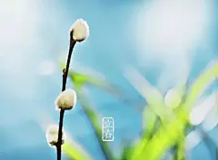 今日立春 | 大地解冻，万物苏醒 : 　　【武汉全攻略】是武汉地区最活跃、最潮最IN的资讯平台，订阅我们，获取最全的武汉新闻、生活资讯。 　　北京时间2月4日17时46分将迎来农历二十四节气之首的“立春”。立春既是节气，也是节日。古籍《群芳谱》对立