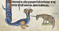 Naughty Nuns, Flatulent Monks, and Other Surprises of Sacred Medieval ...