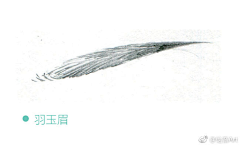李廷婷采集到眉毛