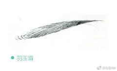 #素描# 眉毛的类型和结构，你都了解吗？
女性的眉毛（图1-7）相对柔和，也较淡较细，经过修剪后会呈现不同形状，配合不同的脸型会有不一样的形态。而男性的眉毛（图8-9）比较粗却有力，浓密又粗黑。
来自严琼的《看照片，画人物：清新人物素描线稿插画教程》。 ​​​​