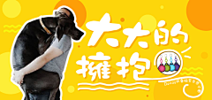 LCctfF5A采集到banner