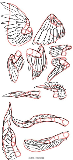 犼wx采集到动物形体绘法