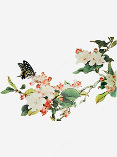 自渡Hancy采集到其他