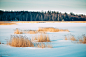 Nina Lindfors on Behance