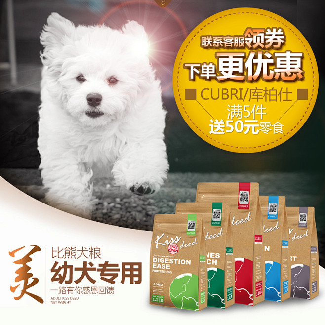 比熊幼犬